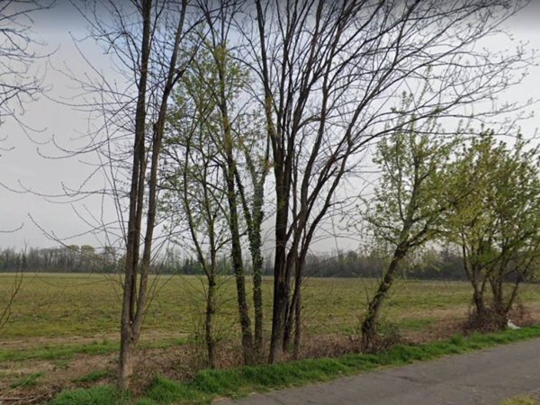 terreno agricolo in vendita a Bollate