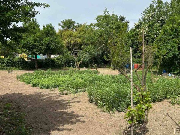 terreno agricolo in vendita a Bollate in zona Cassina Nuova