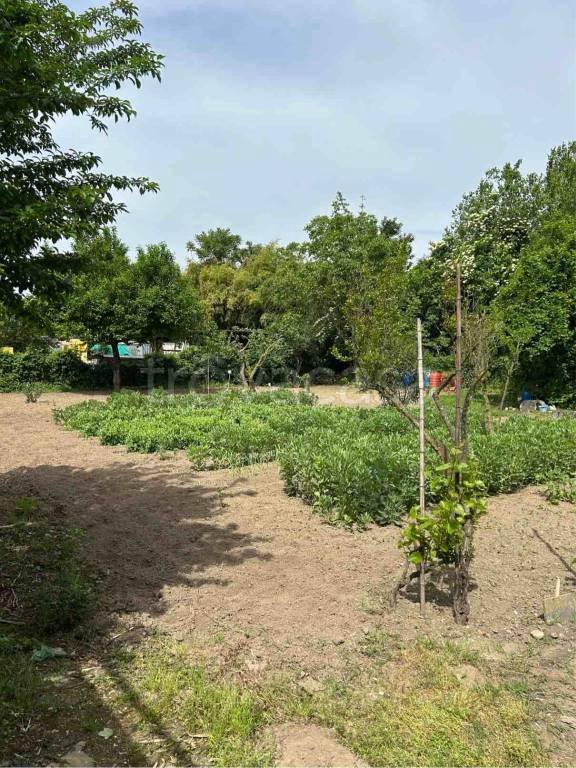terreno agricolo in vendita a Bollate in zona Cassina Nuova