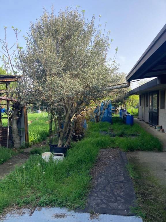 locale commerciale in vendita a Bollate in zona Cassina Nuova