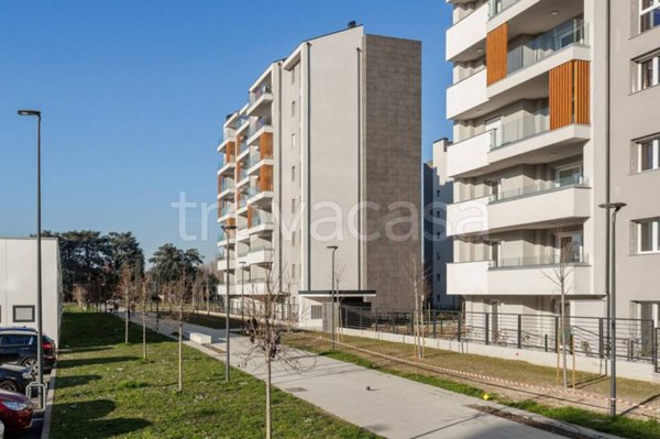 immagine annuncio 0 di 15