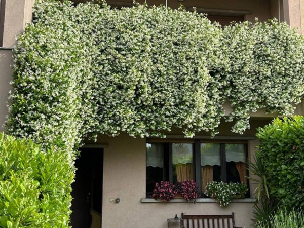 casa indipendente in vendita a Bollate in zona Cassina Nuova