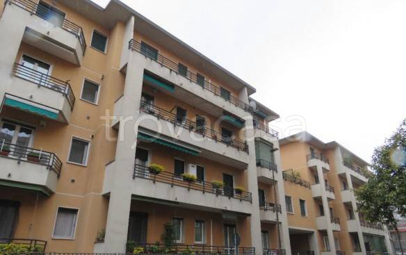 appartamento in vendita a Bresso