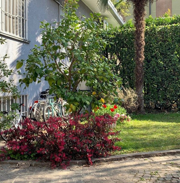 appartamento in vendita a Bresso