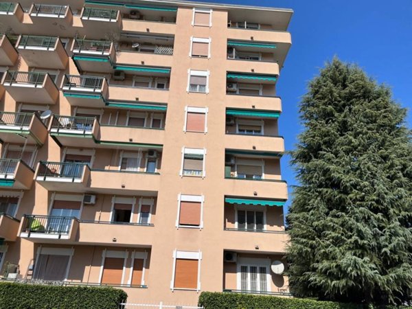 appartamento in vendita a Buccinasco