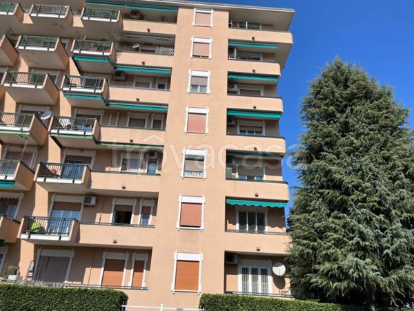 appartamento in vendita a Buccinasco
