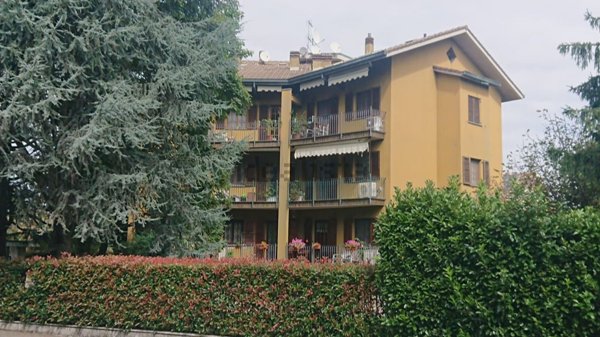 immagine annuncio 0 di 15