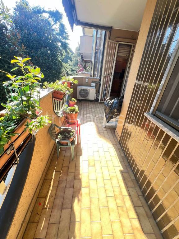 appartamento in vendita a Buccinasco