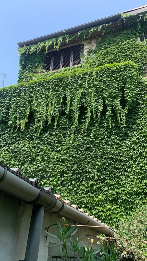 appartamento in vendita a Buccinasco