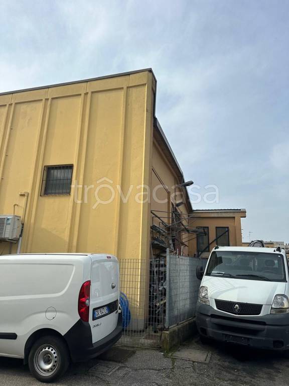 appartamento in vendita a Buccinasco