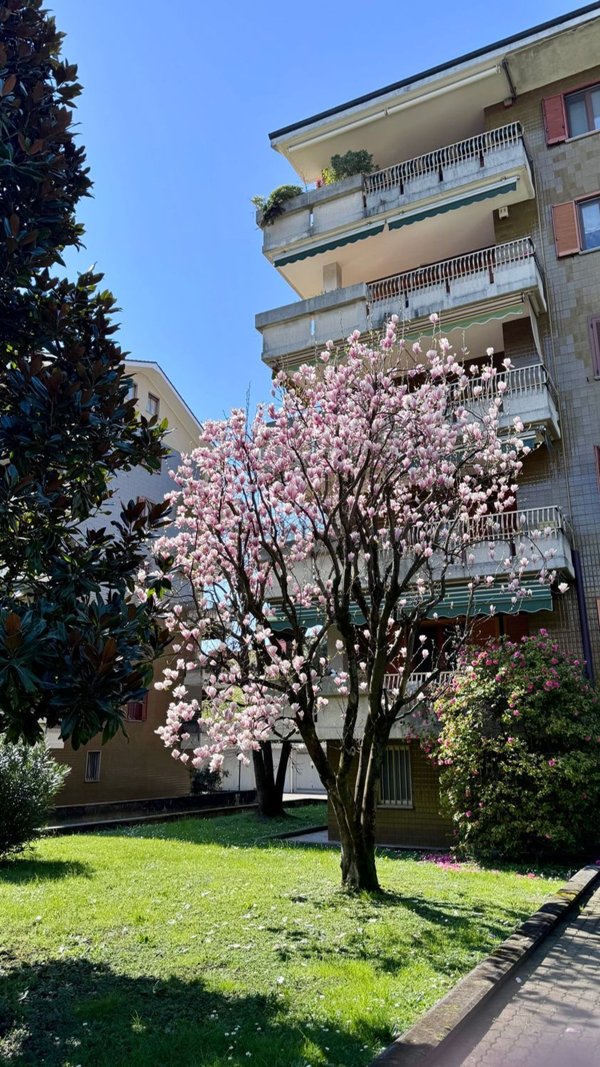 appartamento in vendita a Buccinasco