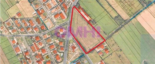 immagine annuncio 0 di 15