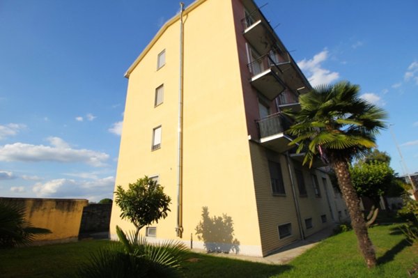 immagine annuncio 0 di 1