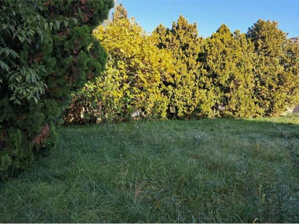 terreno edificabile in vendita a Busto Garolfo