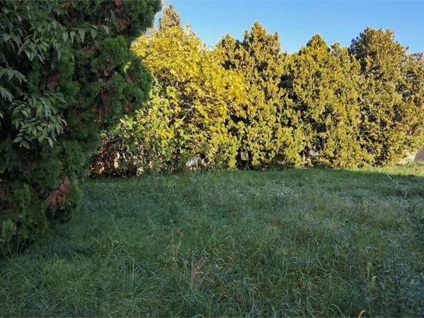 bifamiliare in vendita a Busto Garolfo