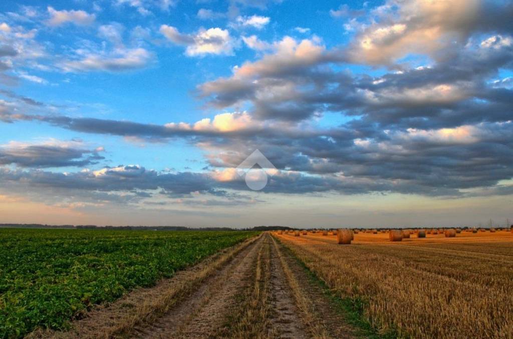 terreno agricolo in vendita a Busto Garolfo