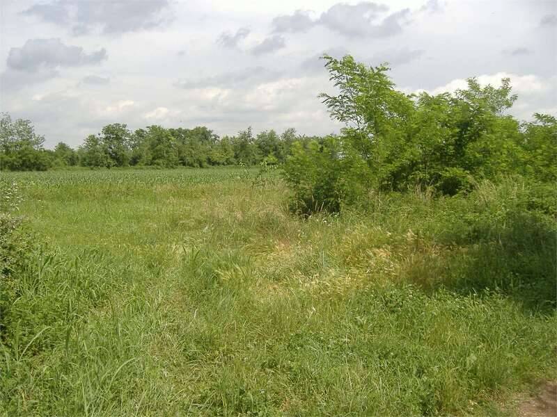 terreno agricolo in vendita a Busto Garolfo