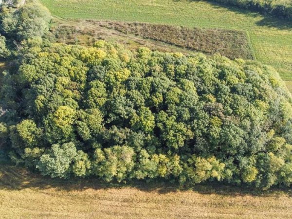 terreno agricolo in vendita a Cambiago
