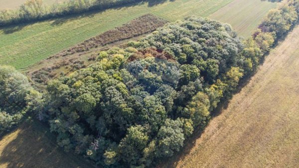 terreno agricolo in vendita a Cambiago