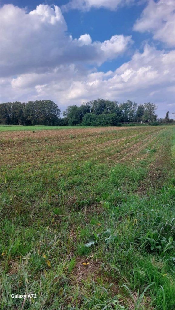 terreno agricolo in vendita a Cambiago