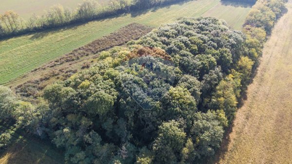 terreno agricolo in vendita a Cambiago