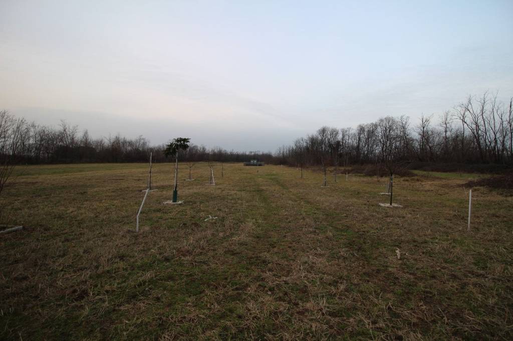 terreno agricolo in vendita a Cambiago
