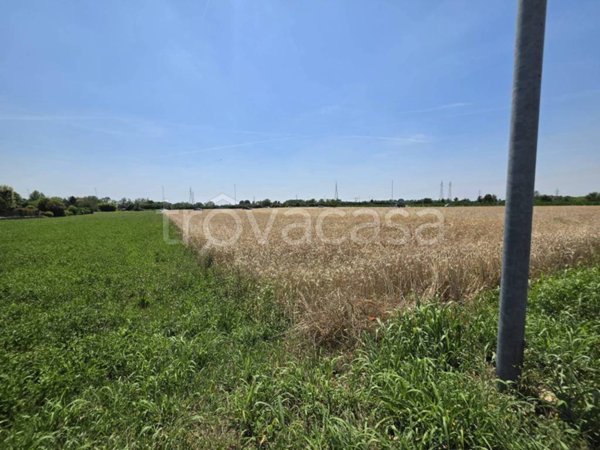 terreno agricolo in vendita a Cambiago