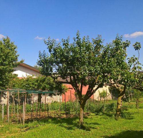 casa indipendente in vendita a Canegrate