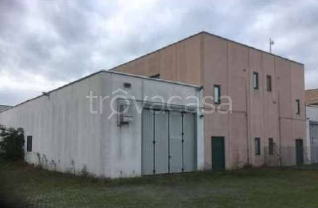 appartamento in vendita a Casarile