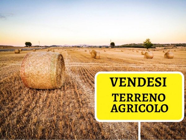 terreno agricolo in vendita a Casorezzo