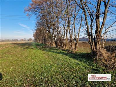 terreno agricolo in vendita a Casorezzo
