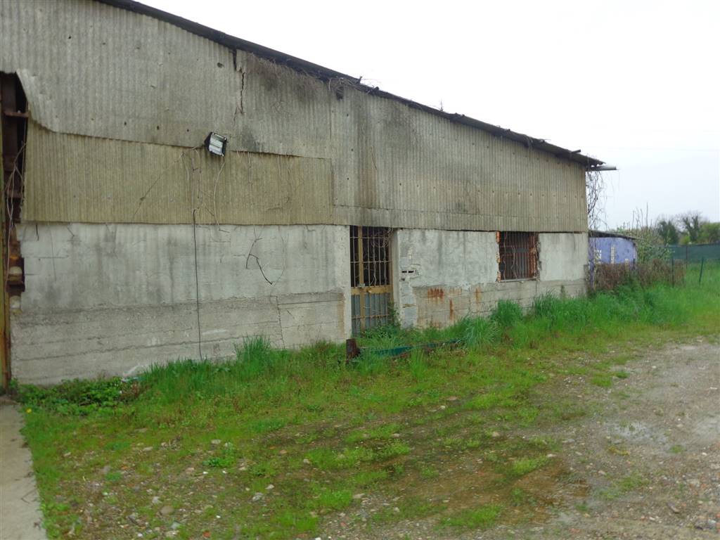 terreno agricolo in vendita a Cassano d'Adda in zona Cascine San Pietro