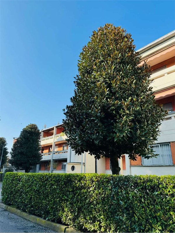 appartamento in vendita a Cassano d'Adda