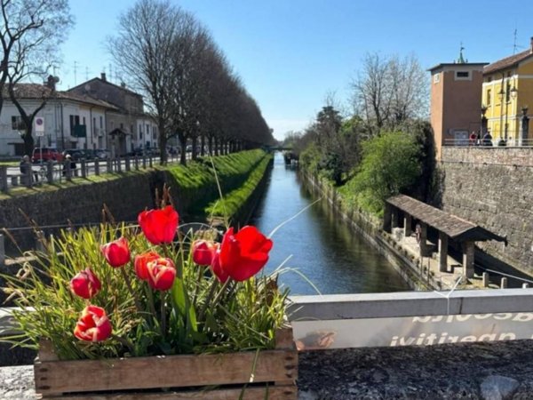 appartamento in vendita a Cassano d'Adda in zona Groppello d'Adda