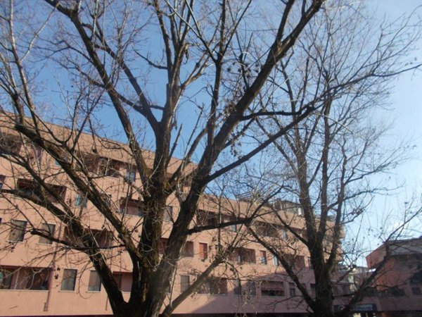 appartamento in vendita a Cassano d'Adda