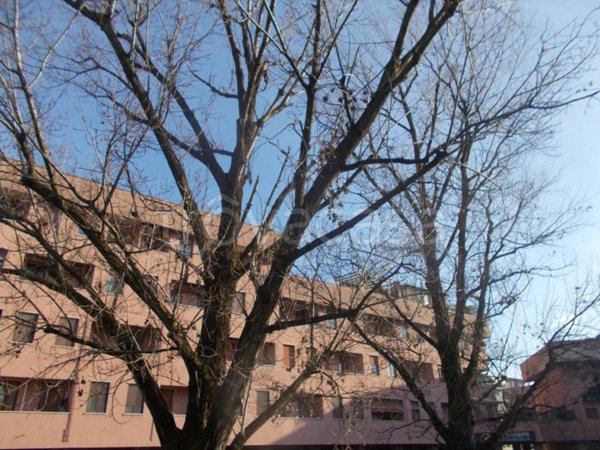 appartamento in vendita a Cassano d'Adda