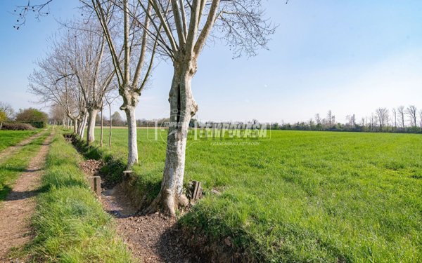 terreno agricolo in vendita a Cassano d'Adda