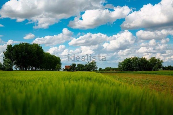 terreno agricolo in vendita a Cassano d'Adda