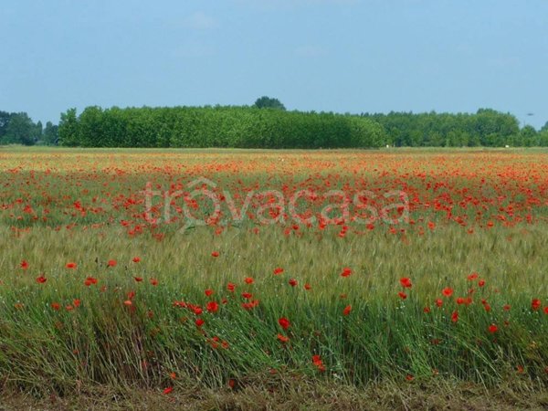 terreno agricolo in vendita a Cassano d'Adda in zona Cascate