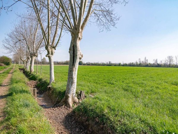 terreno agricolo in vendita a Cassano d'Adda in zona Groppello d'Adda