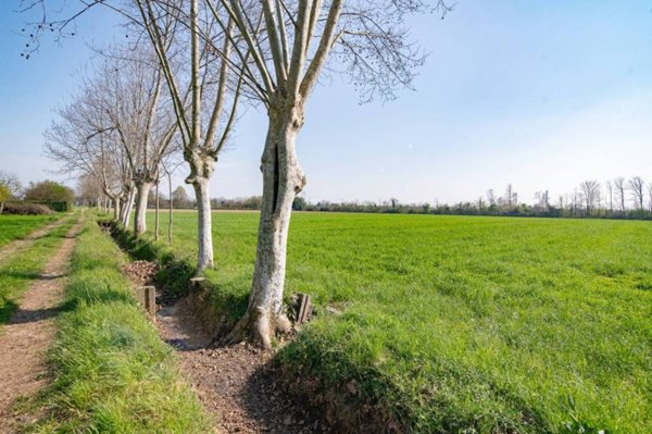 terreno agricolo in vendita a Cassano d'Adda in zona Groppello d'Adda
