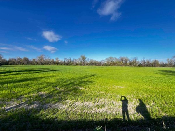terreno in vendita a Cassano d'Adda in zona Cascine San Pietro