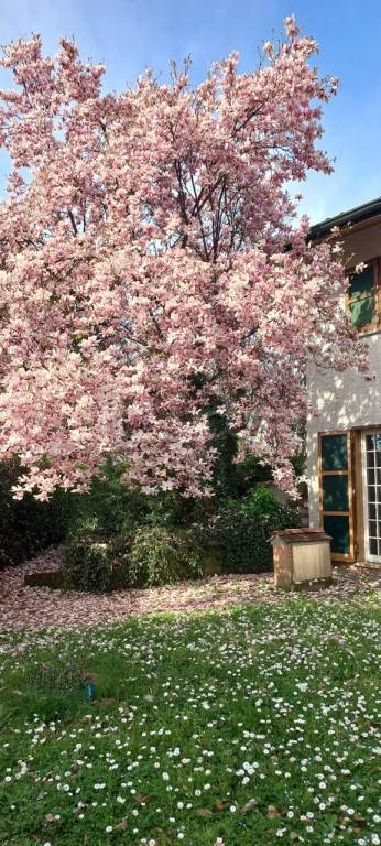 casa indipendente in vendita a Cassina de' Pecchi