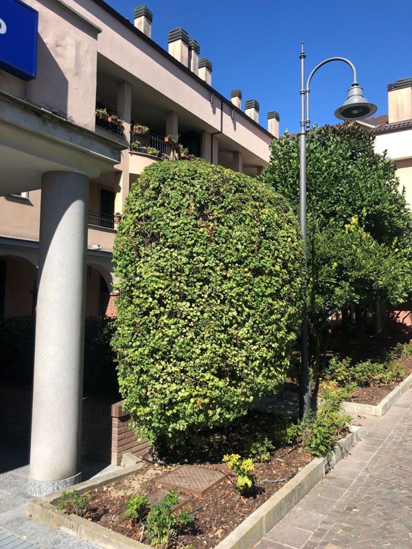 appartamento in vendita a Cassina de' Pecchi in zona Sant'Agata Martesana