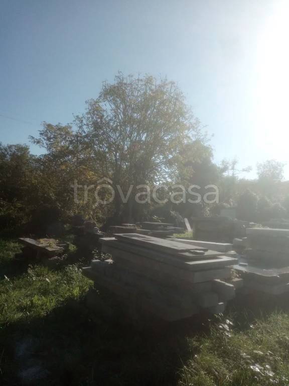 terreno agricolo in vendita a Castano Primo