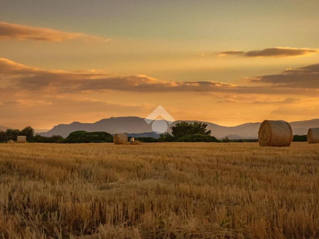 terreno agricolo in vendita a Castano Primo