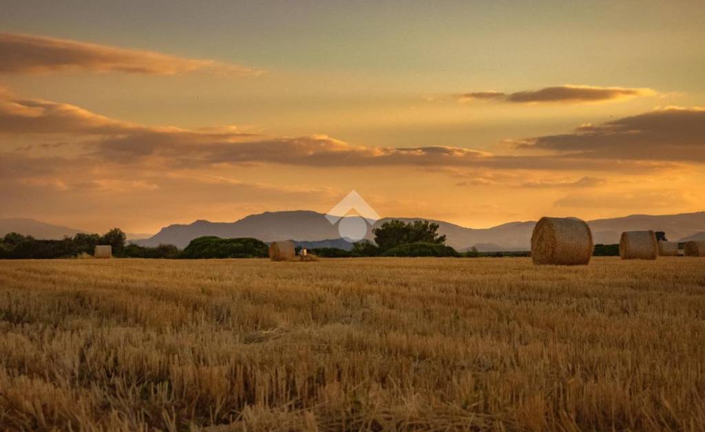 immagine annuncio 0 di 15