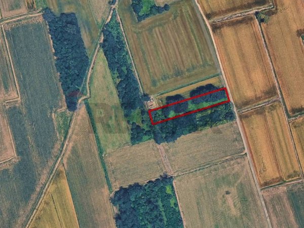 terreno agricolo in vendita a Castano Primo