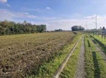 terreno agricolo in vendita a Castano Primo
