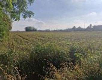terreno agricolo in vendita a Castano Primo